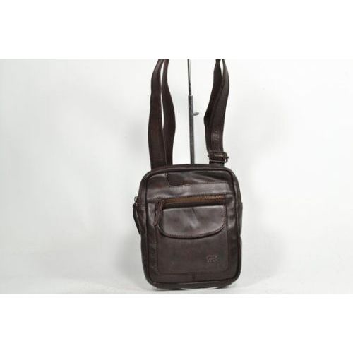 BEAR Tas Bruin