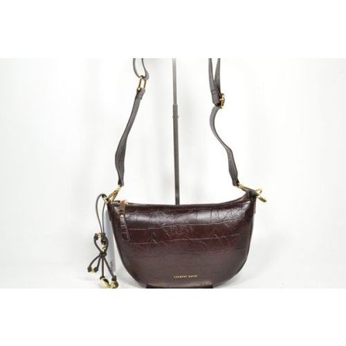 LAURENT DAVID Tas Bruin