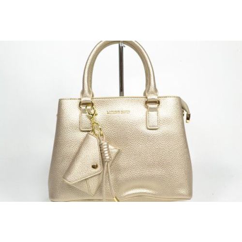 LAURENT DAVID Tas Goud