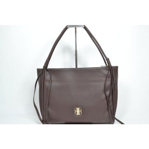 LAURENT DAVID Tas Bruin