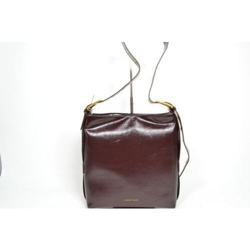 LAURENT DAVID Tas Bruin