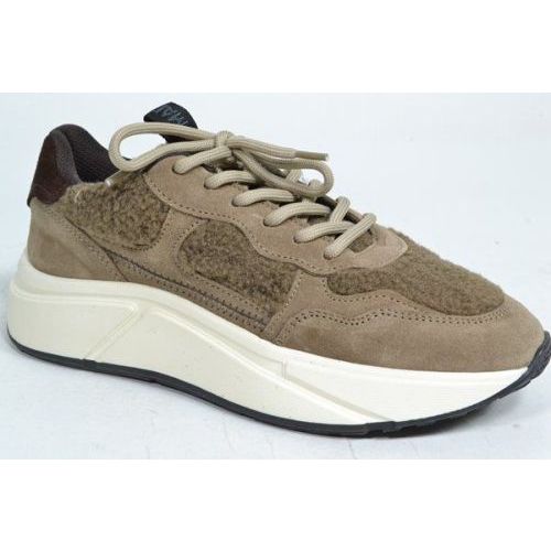 STEVE MADDEN Sneaker Taupe/Vison